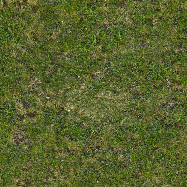 A tiled texture of grass for the background.